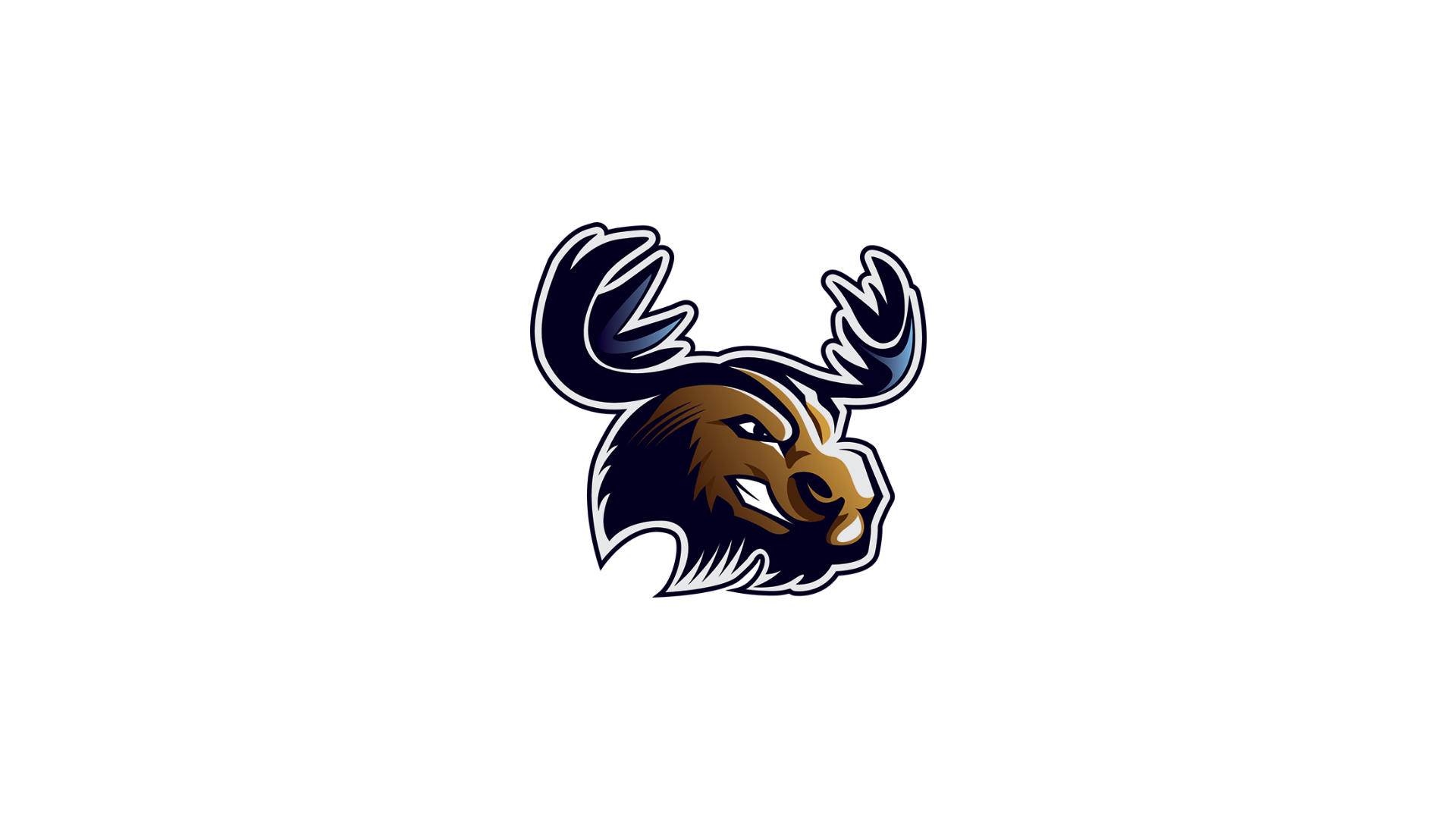 YSCC Golf Championship Results